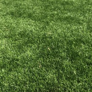 Meet your Posher, Kaitlyn